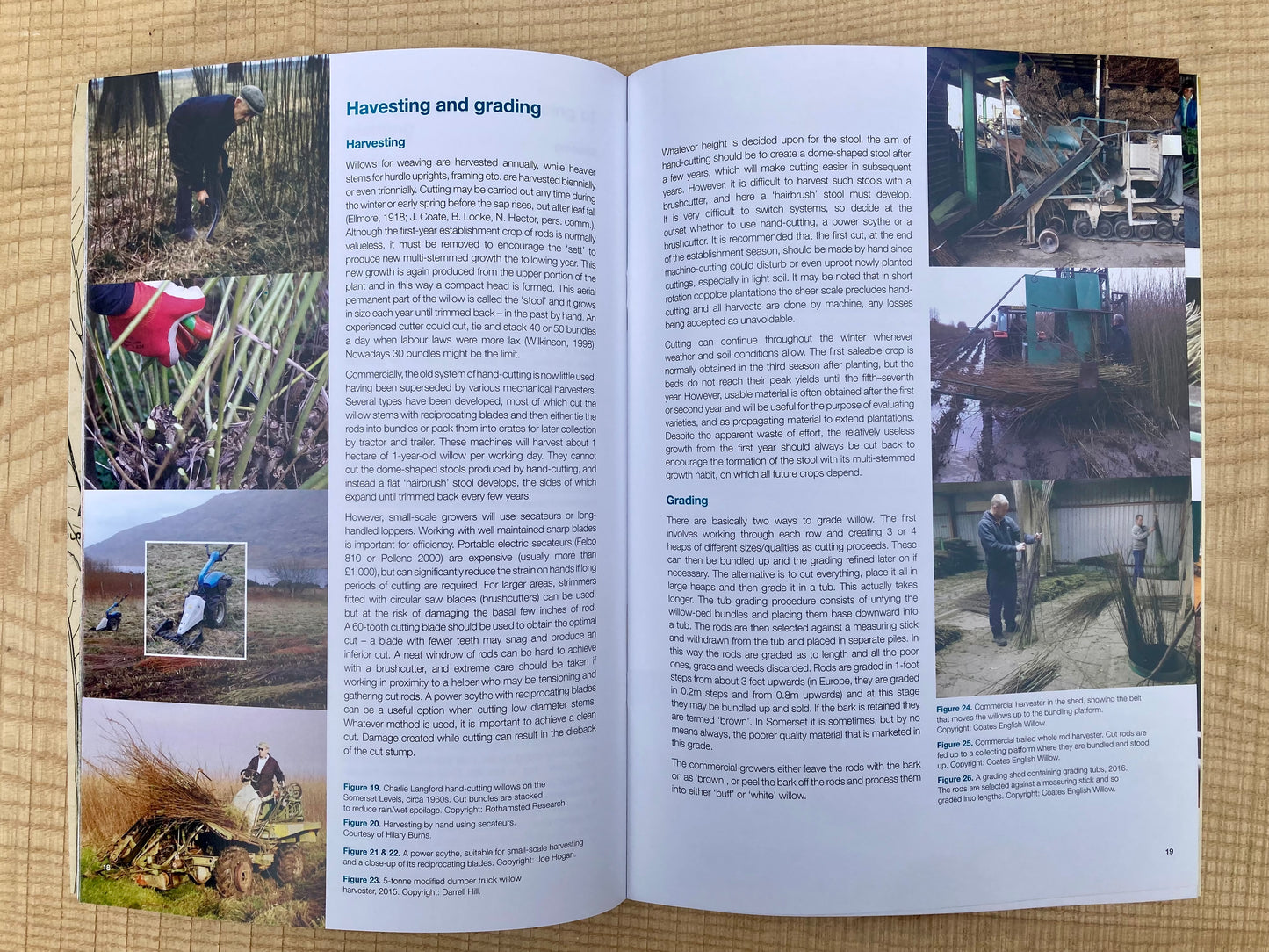 Cultivation and Use of Basket Willows