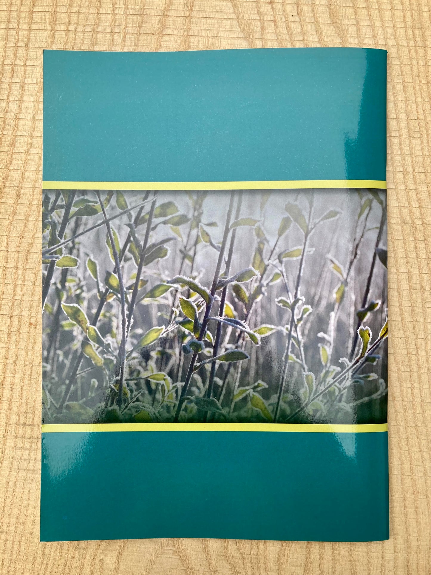 Cultivation and Use of Basket Willows