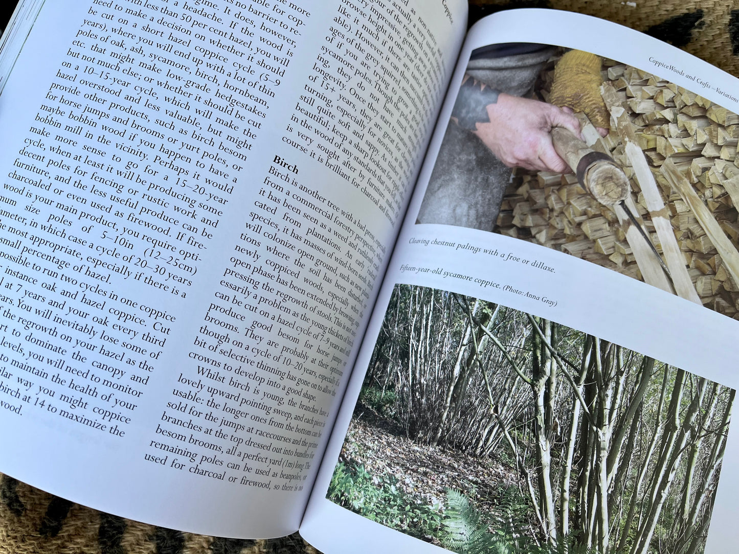 Coppicing & Coppice Crafts