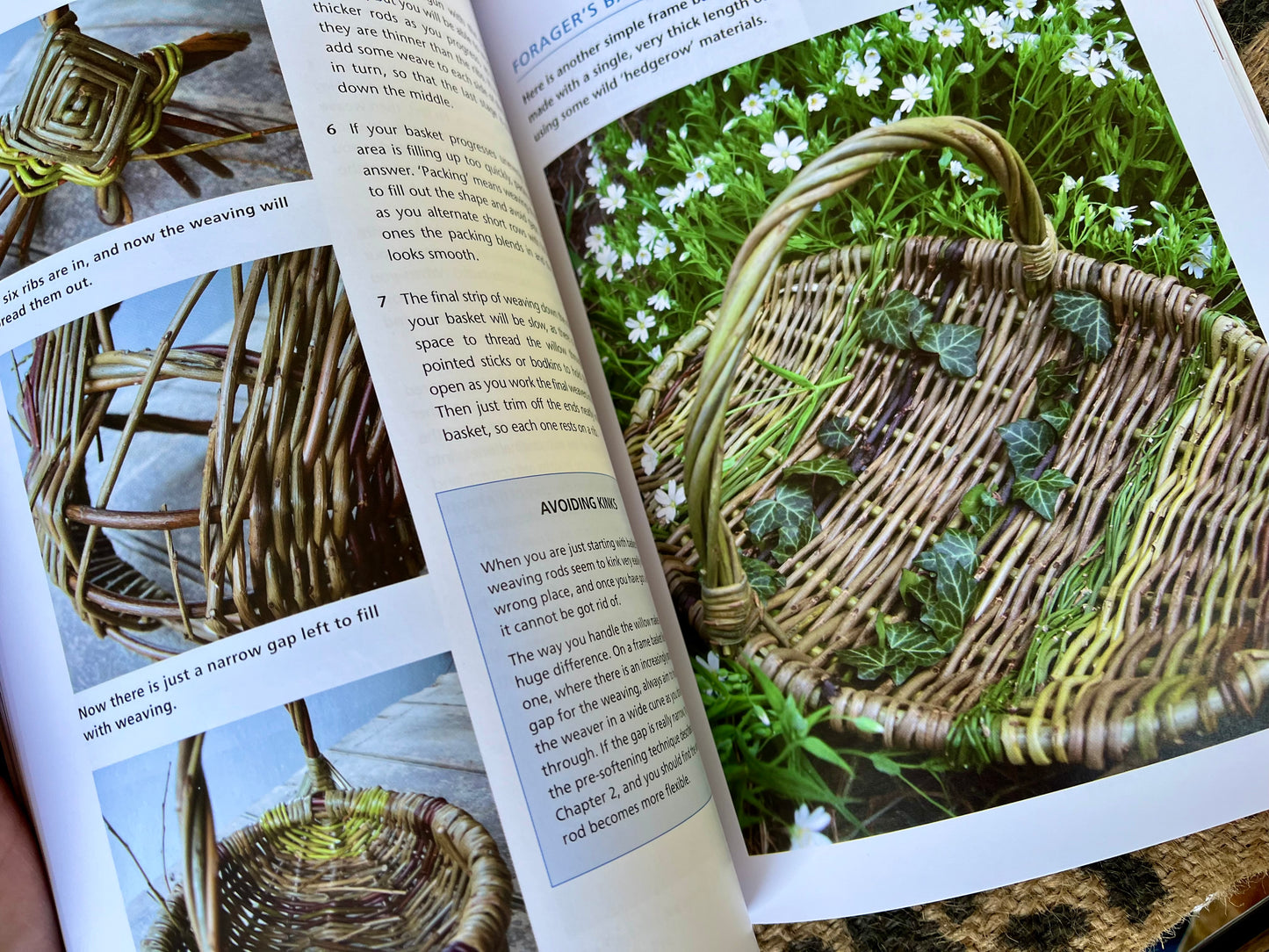 Willow Basketry & Sculpture