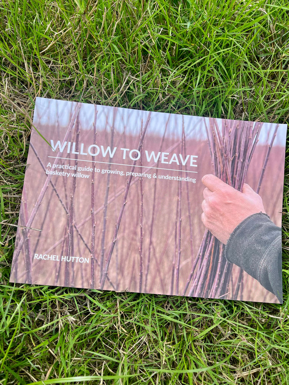 Willow to Weave - Rachel Hutton