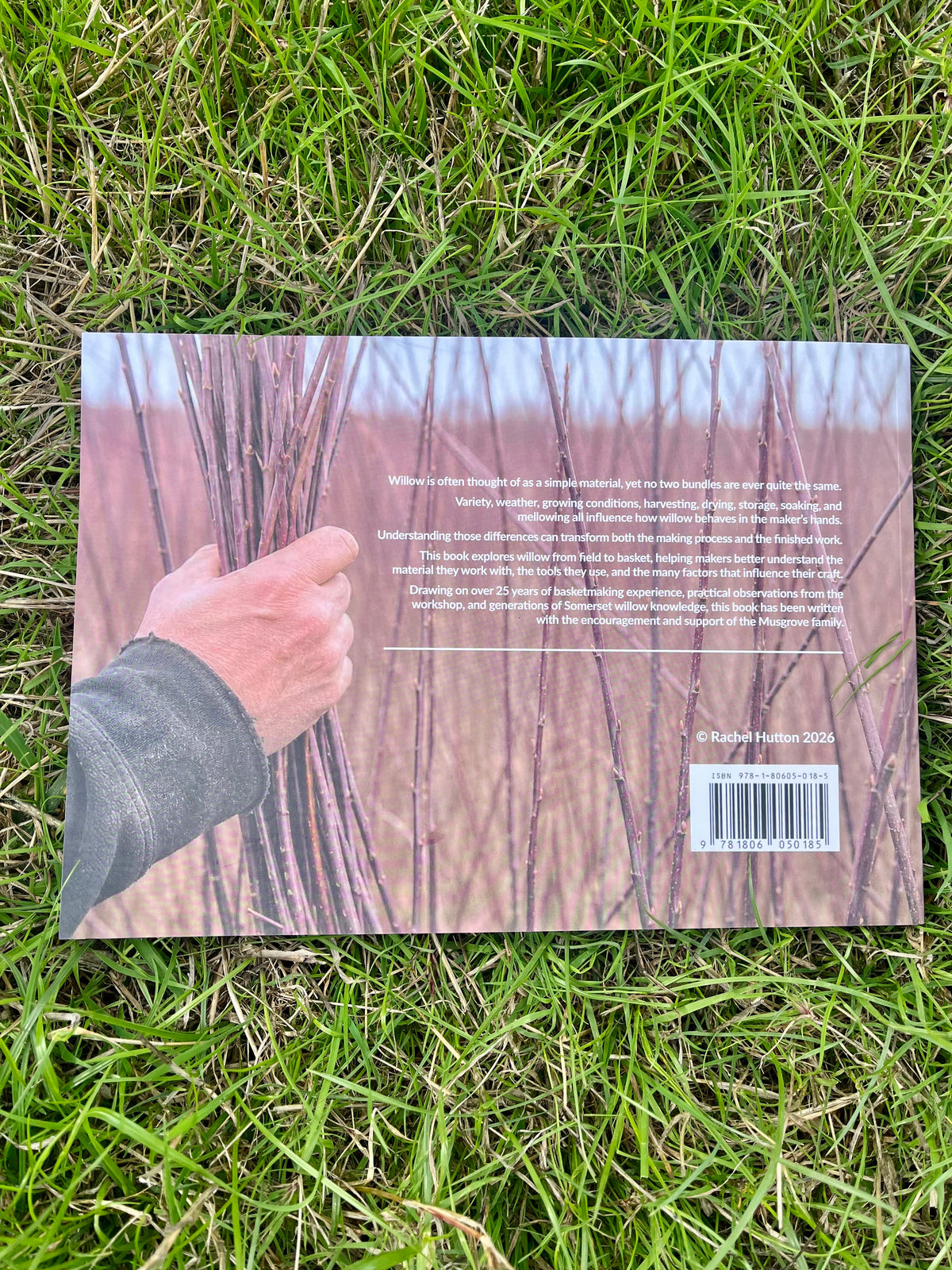 Willow to Weave - Rachel Hutton